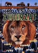 Królestwo ... - Opracowanie Zbiorowe -  Książka z wysyłką do Niemiec 