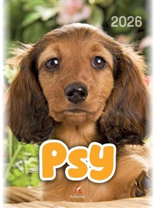 Bild von Kalendarz 2026 wieloplanszowy B4 Psy