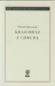 Krajobraz ... - Witold Dąbrowski -  polnische Bücher