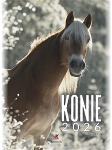 Obrazek Kalendarz 2026 wieloplanszowy B4 Konie