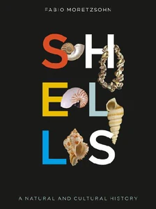 Obrazek ADAMOWICZ, E: SHELLS