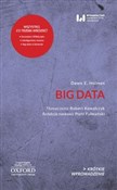 Big Data K... - Dawn E. Holmes -  polnische Bücher