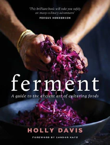 Bild von DAVIS, H: FERMENT