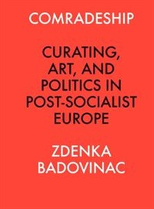 Bild von Comradeship Curating, Art, and Politics in Post-Socialist Europe