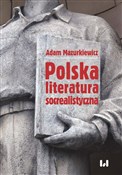 Książka : Polska lit... - Adam Mazurkiewicz