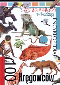 Obrazek Encyklopedia Na ścieżkach wiedzy. 100 kręgowców