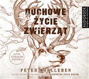 Polska książka : [Audiobook... - Peter Wohlleben