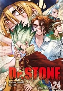 Bild von DR STONE 24