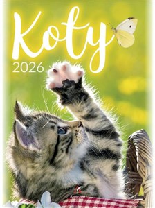 Bild von Kalendarz 2026 wieloplanszowy B4 Koty