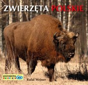 Poznajemy ... - Rafał Wejner -  polnische Bücher
