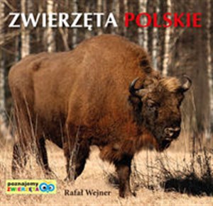 Bild von Poznajemy zwierzęta: Zwierzęta Polskie