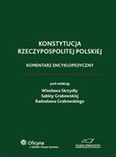 Polska książka : Konstytucj... - Wiesław Skrzydło, Sabina Grabowska, Radosław Grabowski