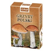 Polnische buch : Grzyby Pol...