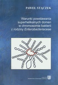 Obrazek Warunki powstania superhelikalnych domen w chromosomie bakterii z rodziny Enterobacteriaceae