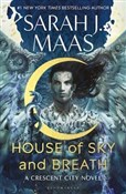 Polnische buch : House of S... - Sarah J. Maas