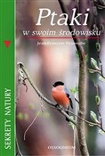 Polska książka : Ptaki w sw... - Jean-François Dejonghe