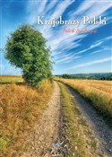 Kalendarz ... -  Książka z wysyłką do Niemiec 