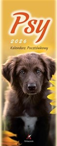 Obrazek Kalendarz 2026 pocztówkowy 12,5x33cm Psy