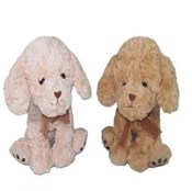 Polnische buch : Pies 20cm ...