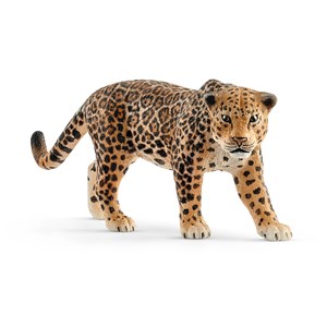 Bild von Jaguar