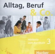 Polnische buch : Alltag Ber...