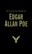The Collec... - Edgar Allan Poe -  polnische Bücher
