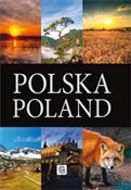 Polska Pol... - Jolanta Bąk, Jacek Bronowski, Ewa Ressel -  polnische Bücher
