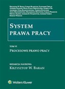 System pra... -  polnische Bücher