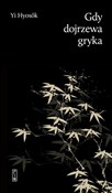 Gdy dojrze... - Yi Hyoseok -  Polnische Buchandlung 