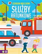 Ozdabiam n... - Opracowanie Zbiorowe -  polnische Bücher