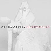 Shadowmake... - buch auf polnisch 