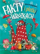 Fakty i pl... - Katarzyna Bajerowicz -  Polnische Buchandlung 