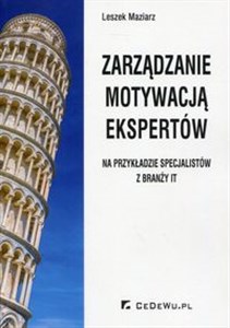 Obrazek Zarządzanie motywacją ekspertów na przykładzie specjalistów z branży IT