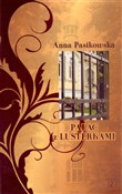 Książka : Pałac z lu... - Anna Pasikowska