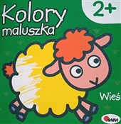 Książka : Kolory mal... - Piotr Kozera