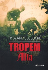 Bild von Tropem Alta