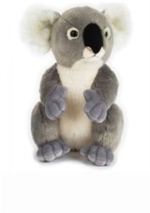 Obrazek Plusz Basic Koala