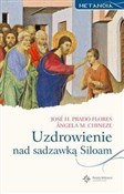 Polska książka : Metanoia. ... - Jose H. Prado Flores, Angela M. Chineze