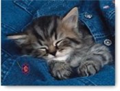 Puzzle Wtu... - buch auf polnisch 