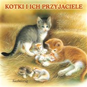 Kotki i ic... - Opracowanie Zbiorowe - buch auf polnisch 