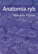 Zobacz : Anatomia r... - Wincenty Kilarski