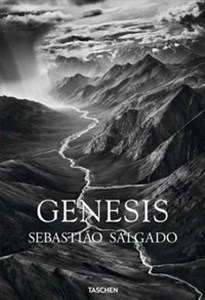 Bild von Genesis