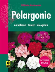 Bild von Pelargonie