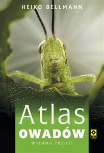 Obrazek Atlas owadów