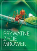 Prywatne ż... - Krzysztof Pabis - Ksiegarnia w niemczech