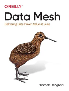 Bild von DEHGHANI, Z: DATA MESH