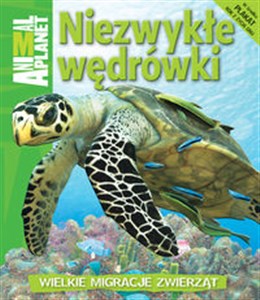 Bild von Niezwykłe wędrówki