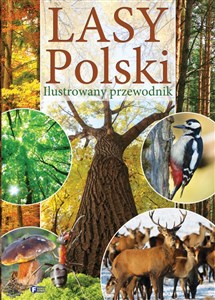 Bild von Lasy Polski Ilustrowany przewodnik