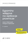 Egzaminy w... - Dąbrowski Grzegorz, Malinowski Adam - buch auf polnisch 