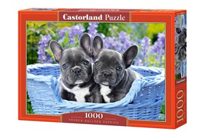 Obrazek Puzzle French Bulldog Puppies 1000 C-104246